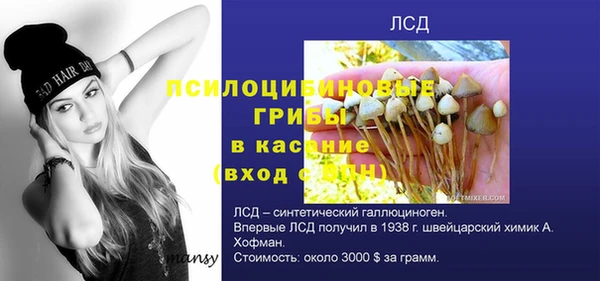 спайс Михайловск