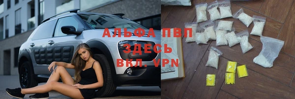 кокс Михайлов