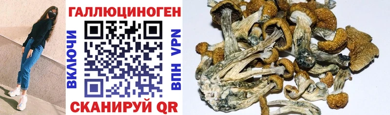 гидра как войти  Липецк  Галлюциногенные грибы GOLDEN TEACHER  цена  